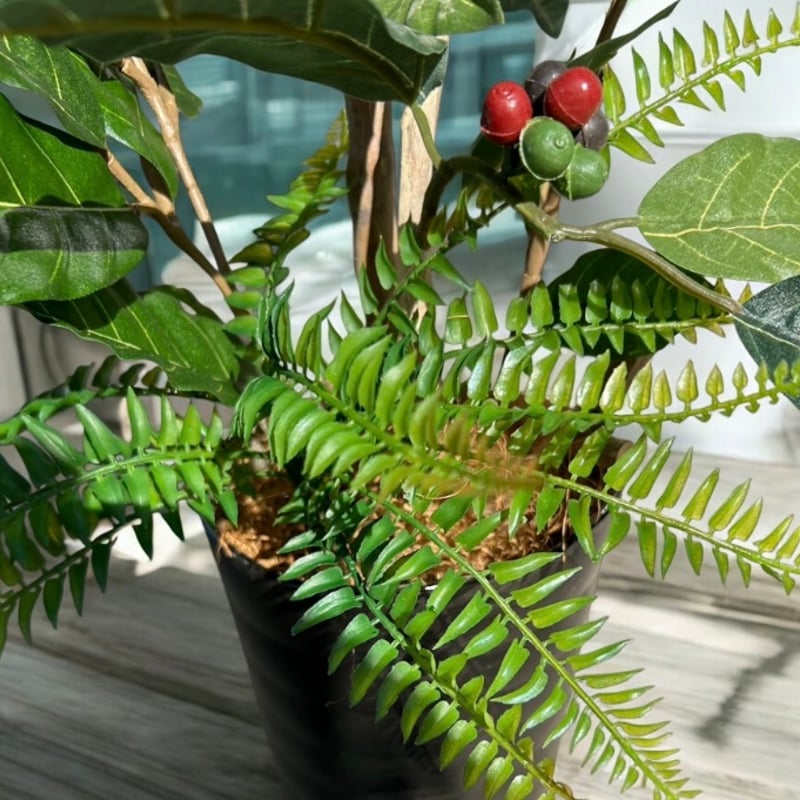 光触媒 人工観葉植物 ウォールグリーン フェイクグリーン コーヒーの木