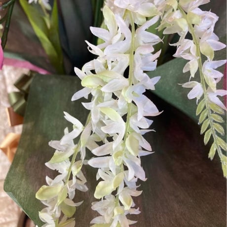 光触媒　人工観葉植物　ウォールグリーン　フェイクグリーン　シンピジューム6765