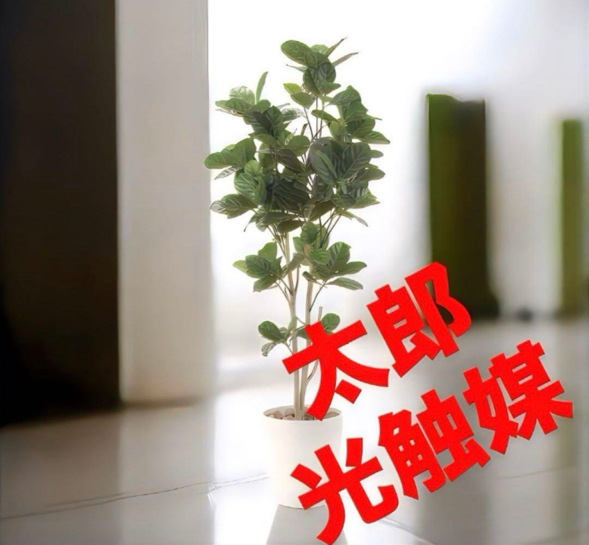 光触媒 人工観葉植物 ウォールグリーン フェイクグリーン