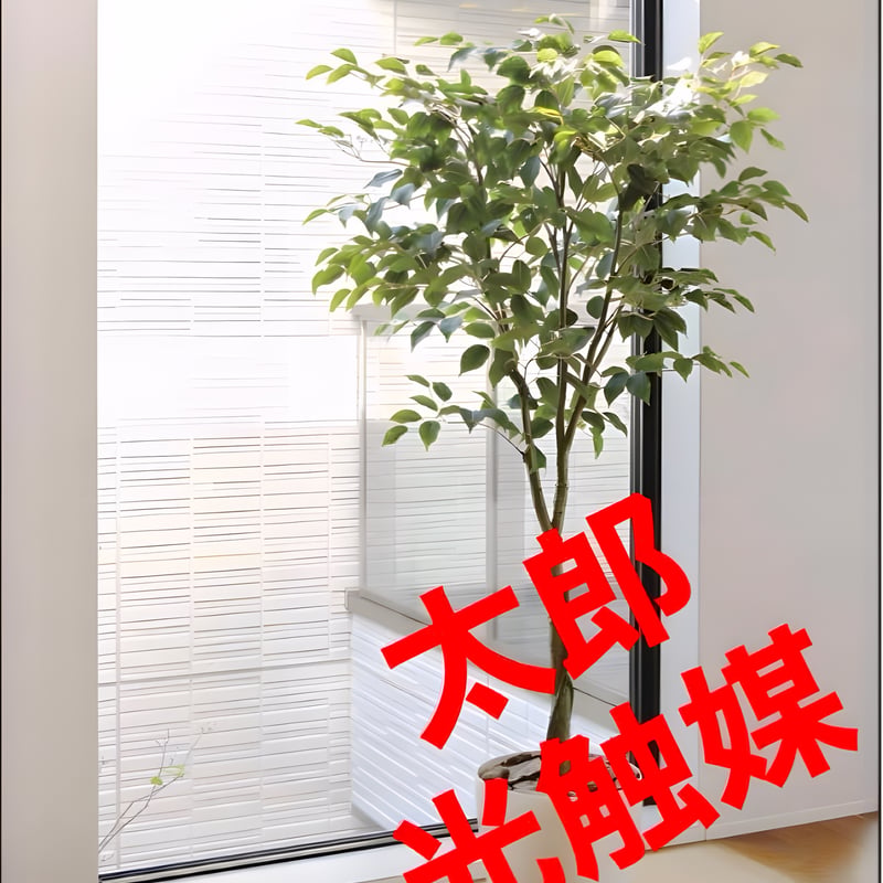 光触媒 人工観葉植物 ウォールグリーン フェイクグリーン フィカス