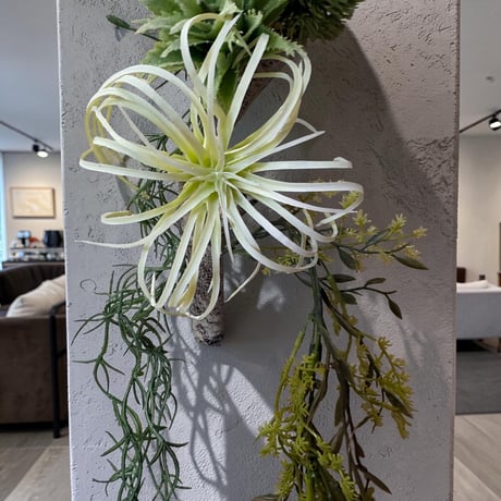 光触媒　人工観葉植物　ウォールグリーン　フェイクグリーン　壁掛けチランジア