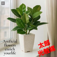 光触媒　人工観葉植物　ウォールグリーン　フェイクグリーン　ゴムノキ37