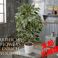 光触媒　人工観葉植物　ウォールグリーン　フェイクグリーン　ゴールデンフィカス1.0