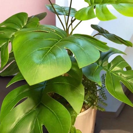 光触媒　人工観葉植物　ウォールグリーン　フェイクグリーン　モンステラ3528