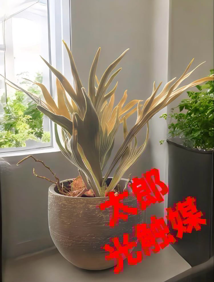 光触媒 人工観葉植物 ウォールグリーン フェイクグリーン コウモリラン