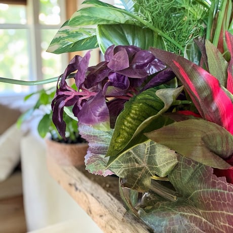 光触媒　人工観葉植物　ウォールグリーン　フェイクグリーン　カラジュームアレンジw
