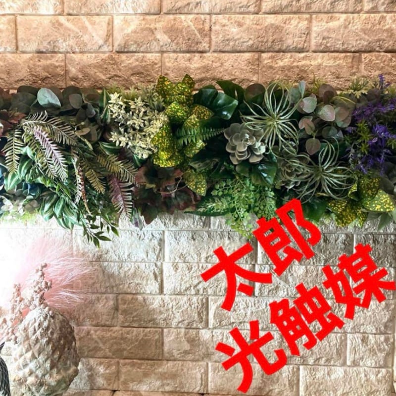 光触媒 人工観葉植物 ウォールグリーン フェイクグリーン 壁掛け12020 光触媒 人工観葉植物 ウォールグリーン フェイクグリーン 壁掛け