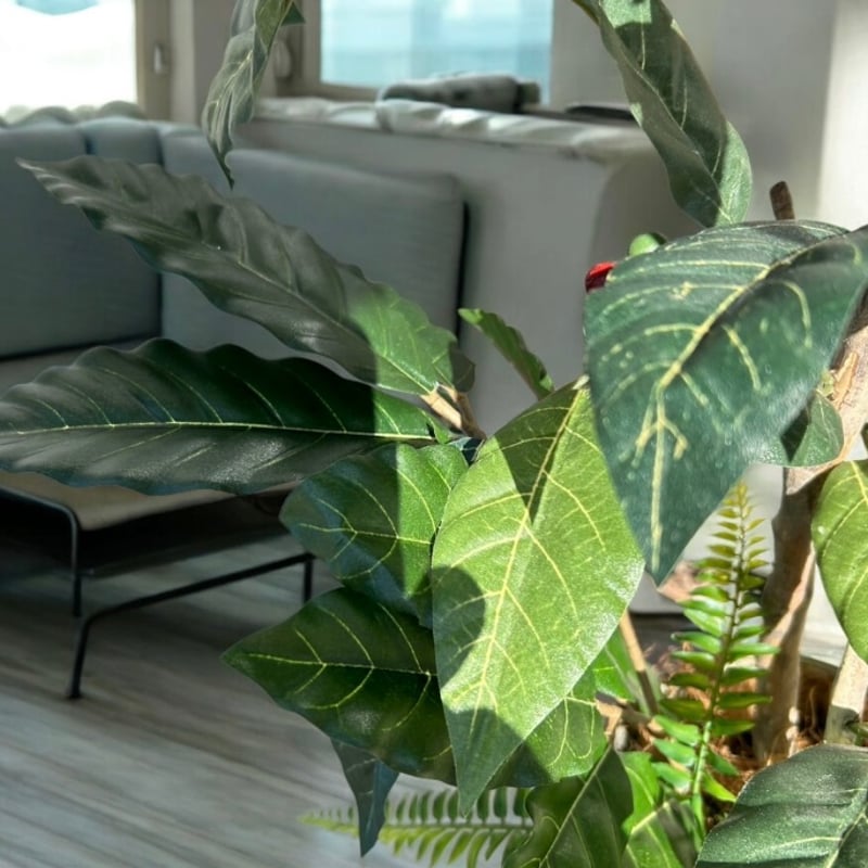 光触媒 人工観葉植物 ウォールグリーン フェイクグリーン コーヒーの木