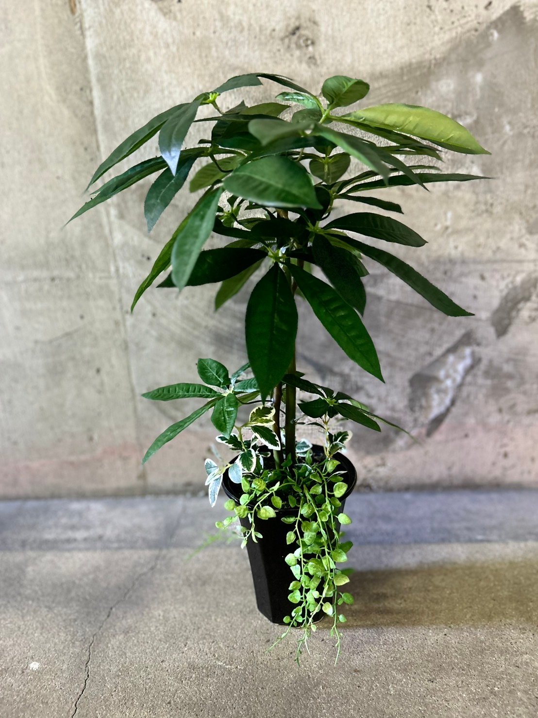 光触媒　人工観葉植物　ウォールグリーン　フェイクグリーン　ファビラス fit=scale-down,w=1200