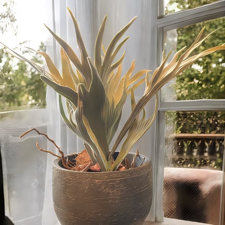光触媒　人工観葉植物　ウォールグリーン　フェイクグリーン　コウモリラン花器付33