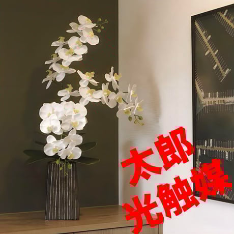 光触媒　人工観葉植物　ウォールグリーン　フェイクグリーン　てデザインフレッシュ胡蝶蘭