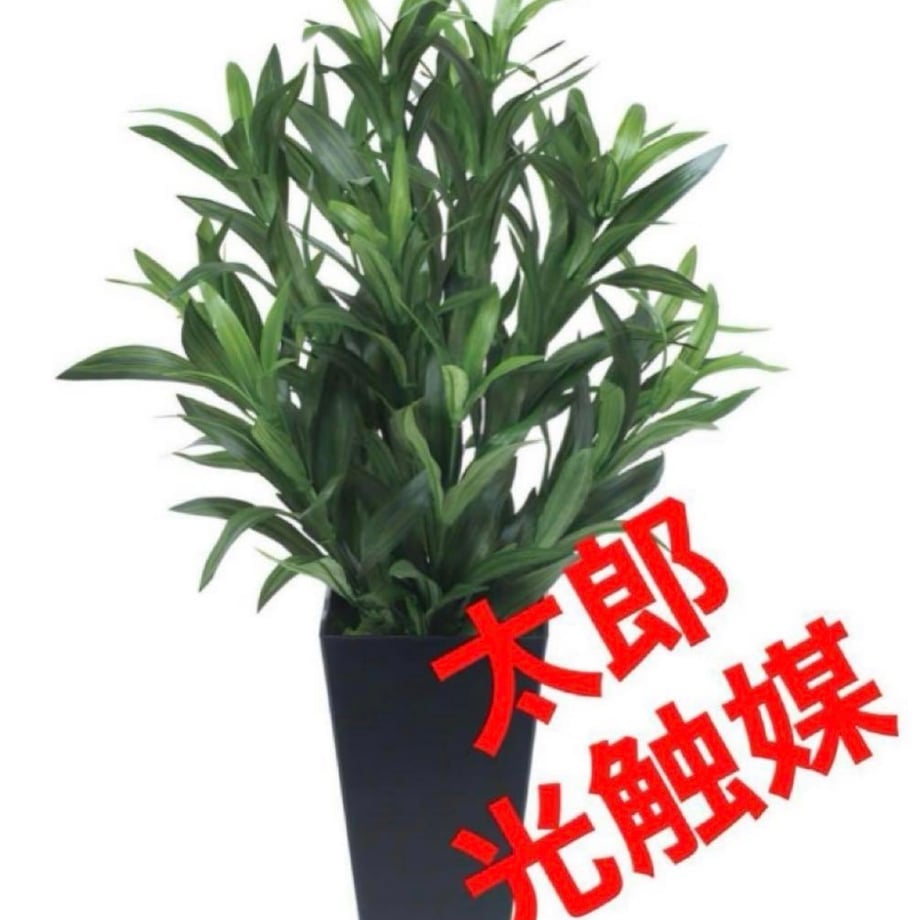 69ca150180c8d88b3e615ece