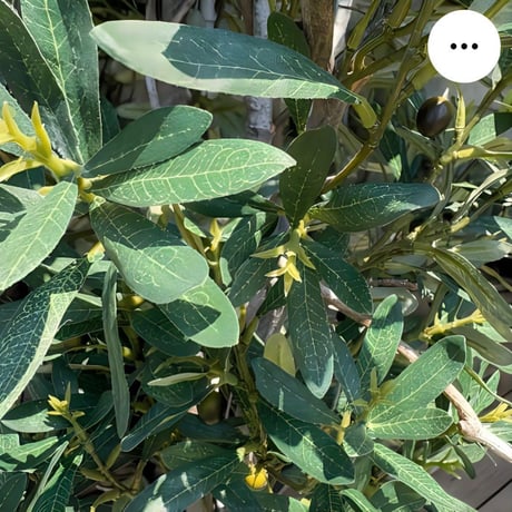 光触媒　人工観葉植物　ウォールグリーン　フェイクグリーン　オリーブtja