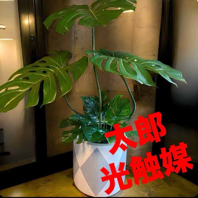 太郎's STORE
