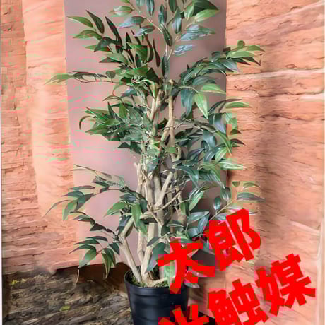 光触媒　人工観葉植物　ウォールグリーン　フェイクグリーン　イタリアンベンジャミン12360