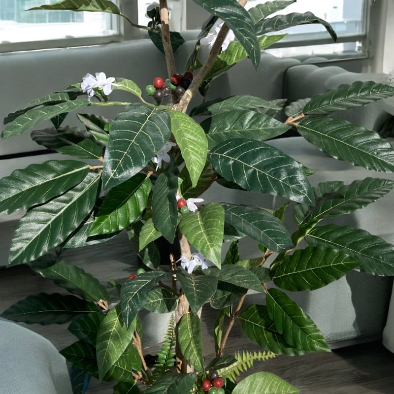 光触媒 人工観葉植物 ウォールグリーン フェイクグリーン コーヒーの木