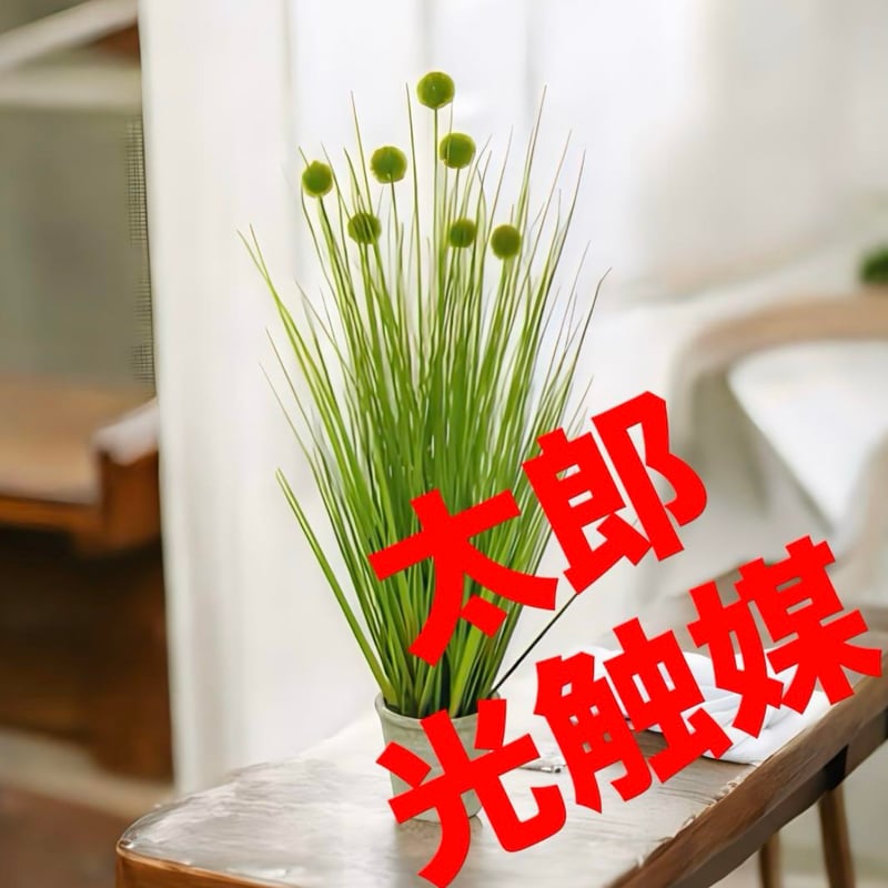 太郎's STORE 太郎's STORE