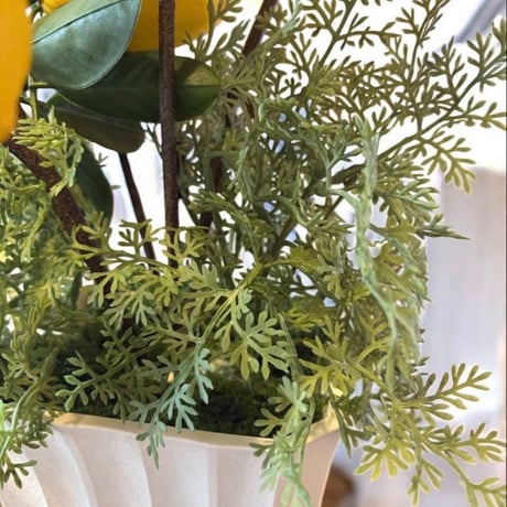 光触媒　人工観葉植物　ウォールグリーン　フェイクグリーン　レモンツリー8666