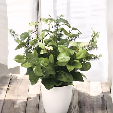 光触媒　人工観葉植物　ウォールグリーン　フェイクグリーン　ミックスポトス@@@