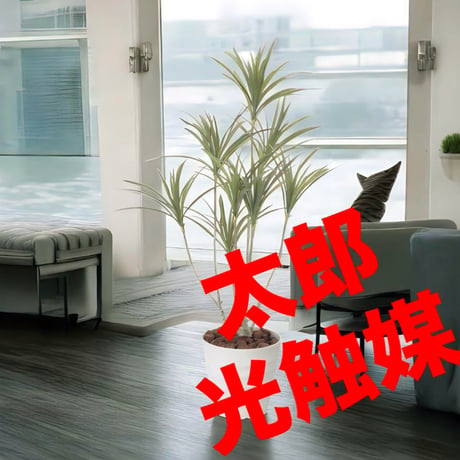 光触媒　人工観葉植物　ウォールグリーン　フェイクグリーン　ドラセナ1.4
