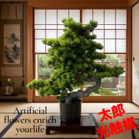 光触媒　人工観葉植物　ウォールグリーン　フェイクグリーン　盆栽7376