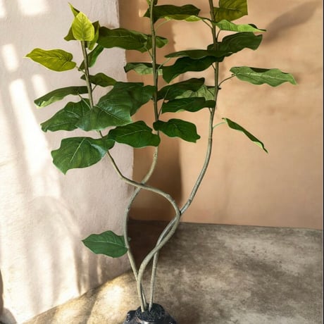 光触媒　人工観葉植物　ウォールグリーン　フェイクグリーン　クネクネウンベラータ3