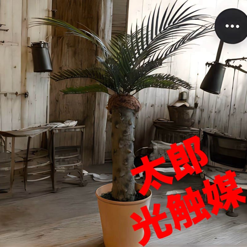 光触媒　人工観葉植物　ウォールグリーン　フェイクグリーン　パナマローズ 光触媒 人工観葉植物 ウォールグリーン フェイクグリーン 壁掛け