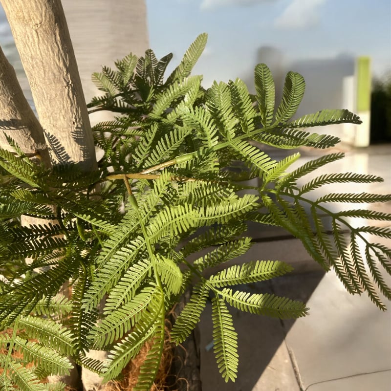 光触媒 人工観葉植物 ウォールグリーン フェイクグリーン