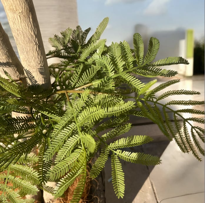 光触媒 人工観葉植物 ウォールグリーン フェイクグリーン