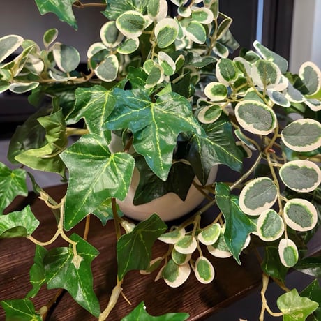 光触媒　人工観葉植物　ウォールグリーンフェイクグリーン　アイビーとプミラ2250