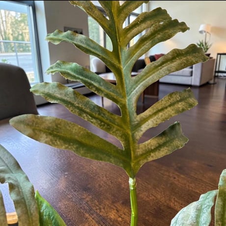 光触媒　人工観葉植物　ウォールグリーン　フェイクグリーン　マジカルウォーター6352