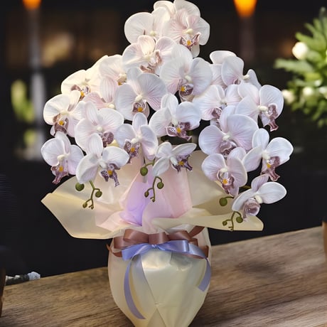 光触媒　人工観葉植物　ウォールグリーン　フェイクグリーン　胡蝶蘭7547