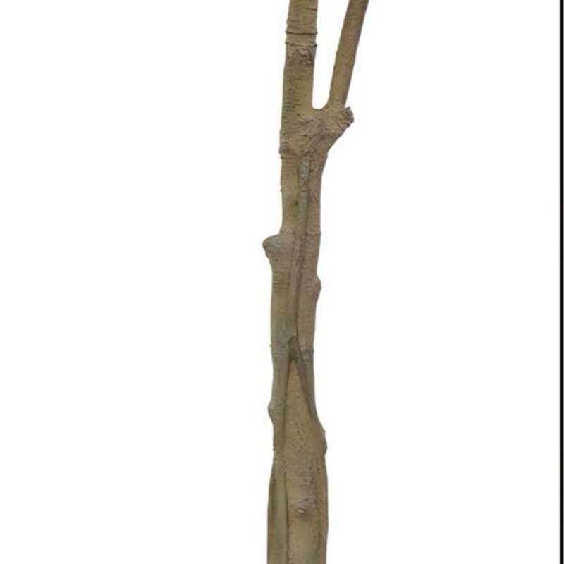 光触媒 人工観葉植物 ウォールグリーン フェイクグリーン ベンジャミン