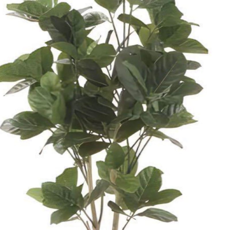 光触媒　人工観葉植物　ウォールグリーン　フェイクグリーン　パンの木90 光触媒 人工観葉植物 ウォールグリーン フェイクグリーン パンの木90