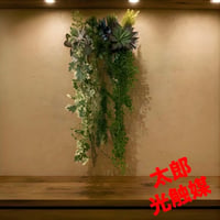 光触媒　人工観葉植物　ウォールグリーン　フェイクグリーン　壁掛け20433@g