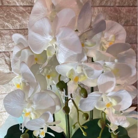 光触媒　人工観葉植物　ウォールグリーン　フェイクグリーン　胡蝶蘭7035aj