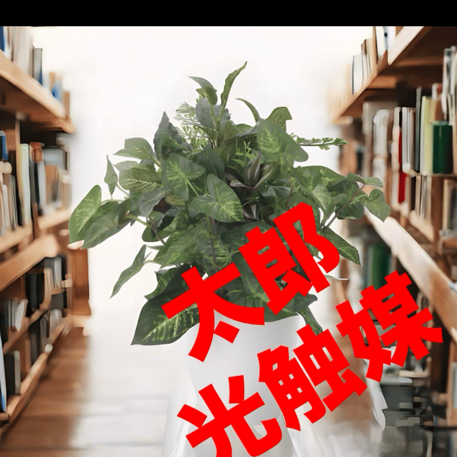 669fc5ec24c2f40b762092ca