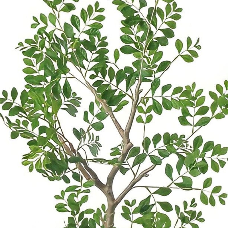 光触媒 人工観葉植物 ウォールグリーン フェイクグリーン トネリコ130