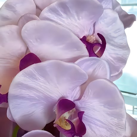 光触媒　人工観葉植物　ウォールグリーン　フェイクグリーン　胡蝶蘭7845
