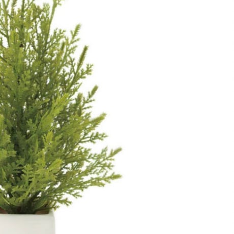 光触媒　人工観葉植物　ウォールグリーン　フェイクグリーン　ミニゴールドクレスト