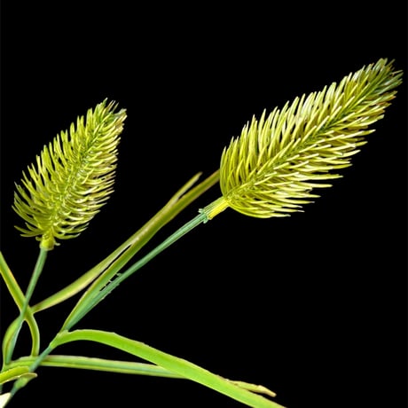 光触媒　人工観葉植物　ウォールグリーン　フェイクグリーン　マジカルウォーター6542