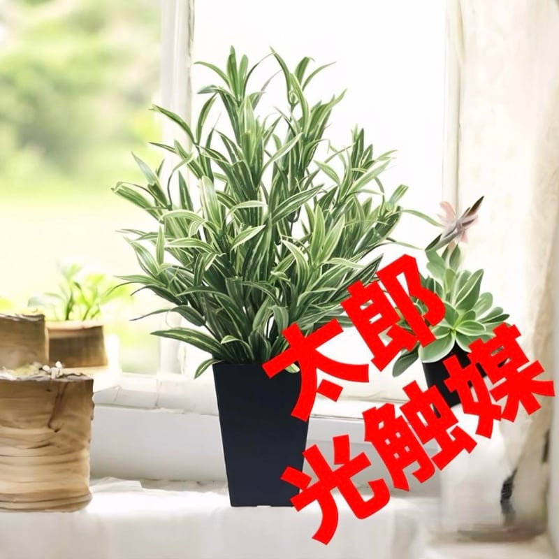 人工観葉・フェイクグリーン 光触媒 人工観葉植物 ウォールグリーン