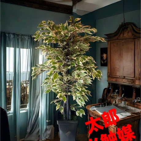 光触媒　人工観葉植物　ウォールグリーン　フェイクグリーン　斑入りベンジャミン12