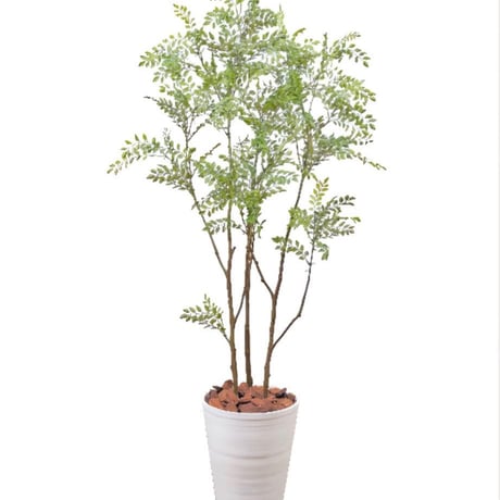 光触媒　人工観葉植物　ウォールグリーン　フェイクグリーン　シマトネリコ8210