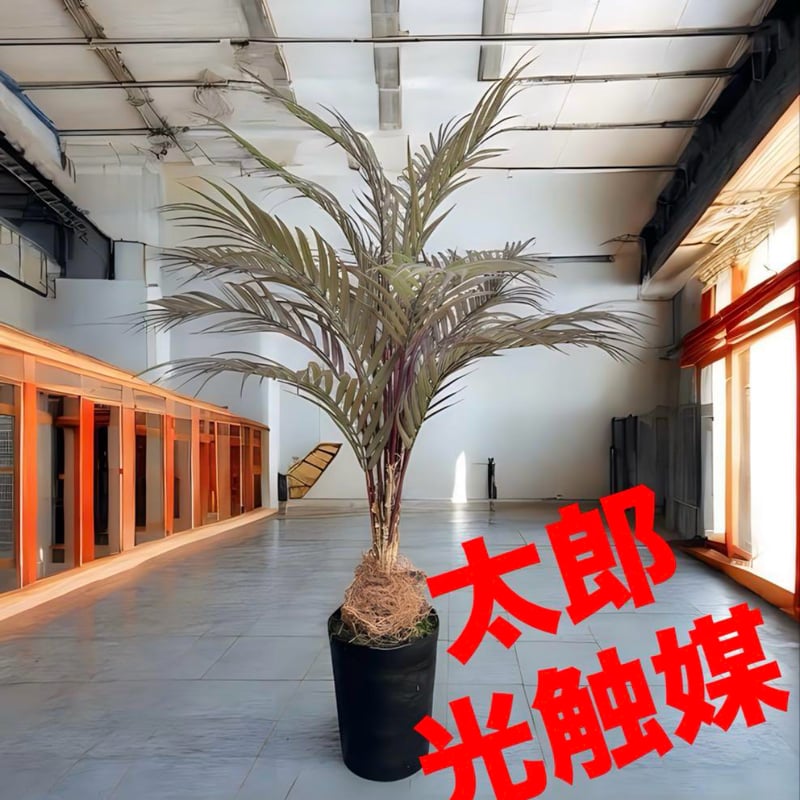 光触媒 人工観葉植物 ウォールグリーン フェイクグリーン アレカヤシ茶
