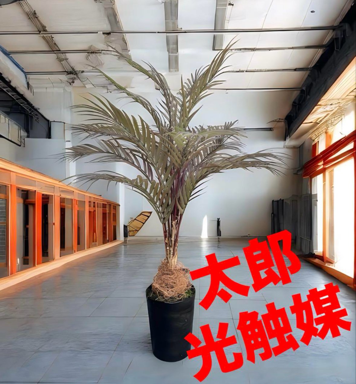 光触媒 人工観葉植物 ウォールグリーン フェイクグリーン アレカヤシ茶