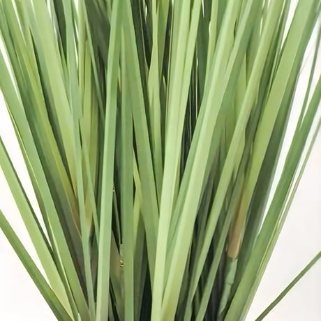光触媒　人工観葉植物　ウォールグリーン　フェイクグリーン　ボールグラス91