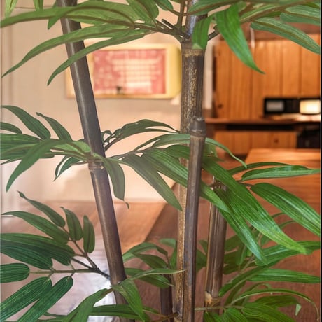 光触媒　人工観葉植物　ウォールグリーン　フェイクグリーン　黒竹7342
