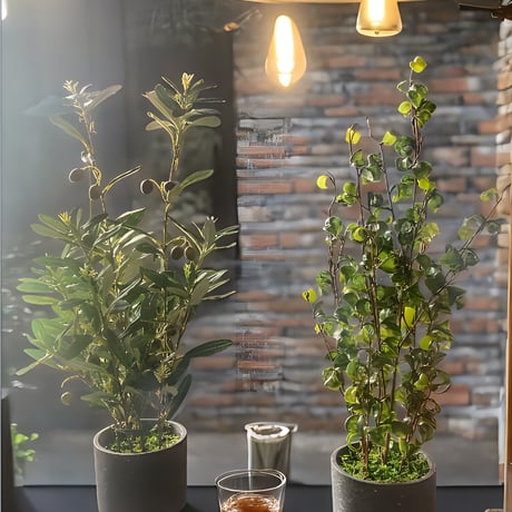 光触媒　人工観葉植物　ウォールグリーン　フェイクグリーン　オリーブとバロック58