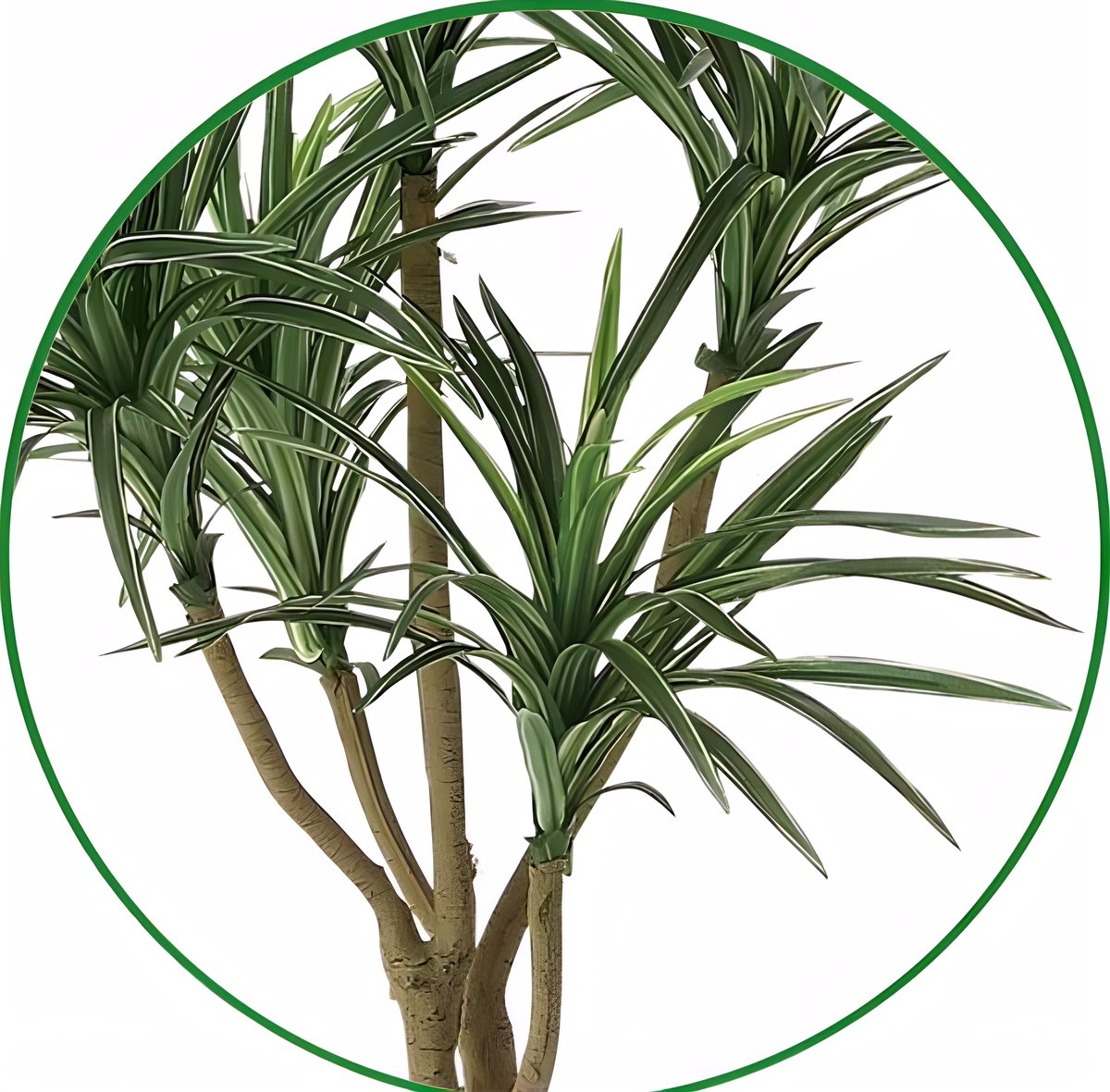 光触媒 人工観葉植物 ウォールグリーン フェイクグリーン ユッカ90